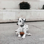 Natural Rubber Rugby Spike & Rope Dog Toy - M