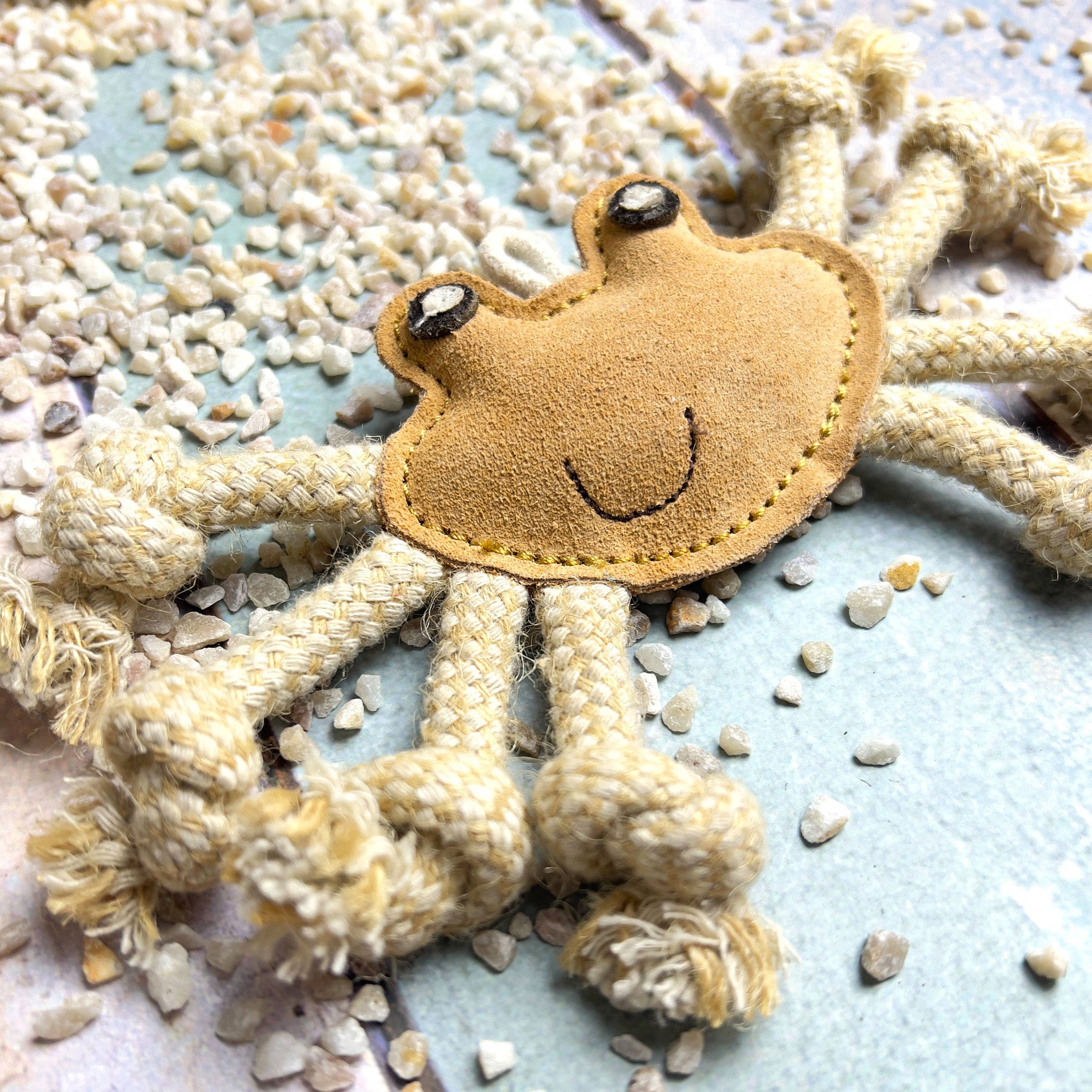 Natural toy for small dogs - LITTLE CRAB 🦀