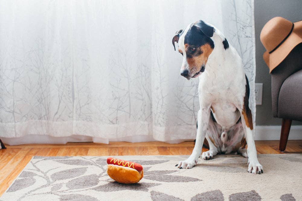 Hot Diggy hot dog toy