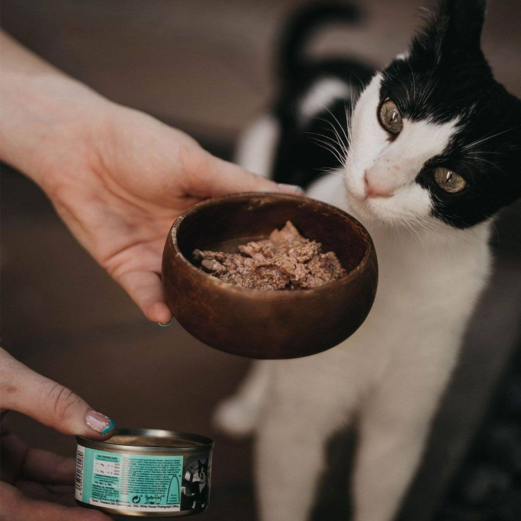Tuna with Shrimps can for cats (80g) by Retorn