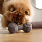 Clara Snuffle Toy | Limited Edition