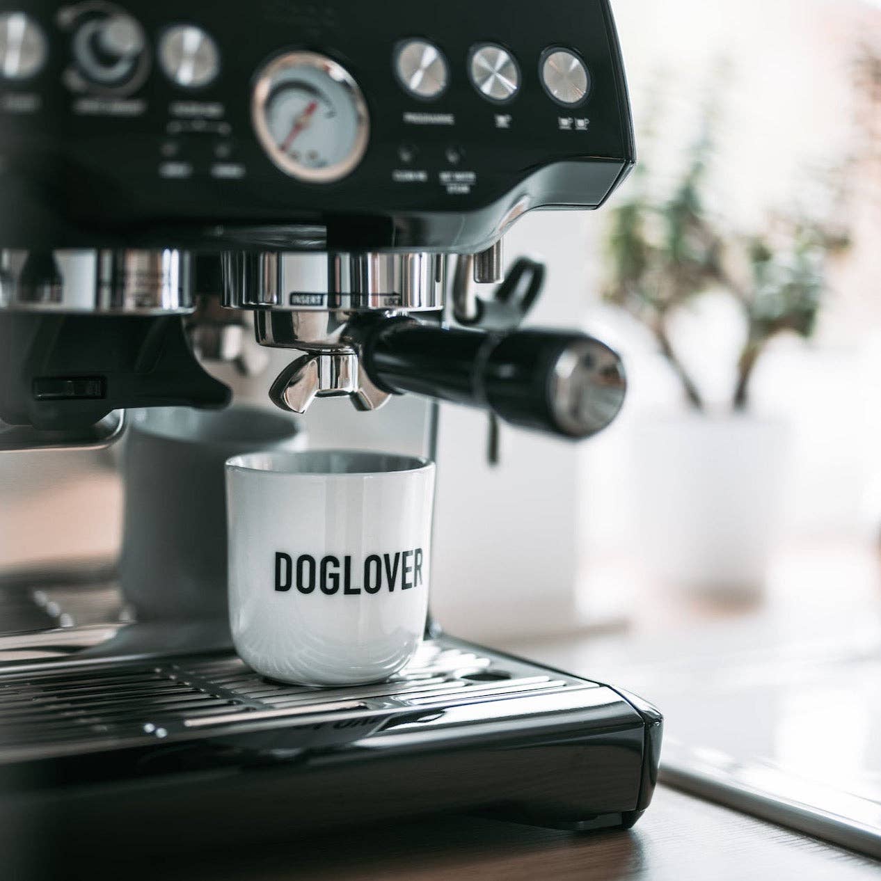 DOGLOVER cup