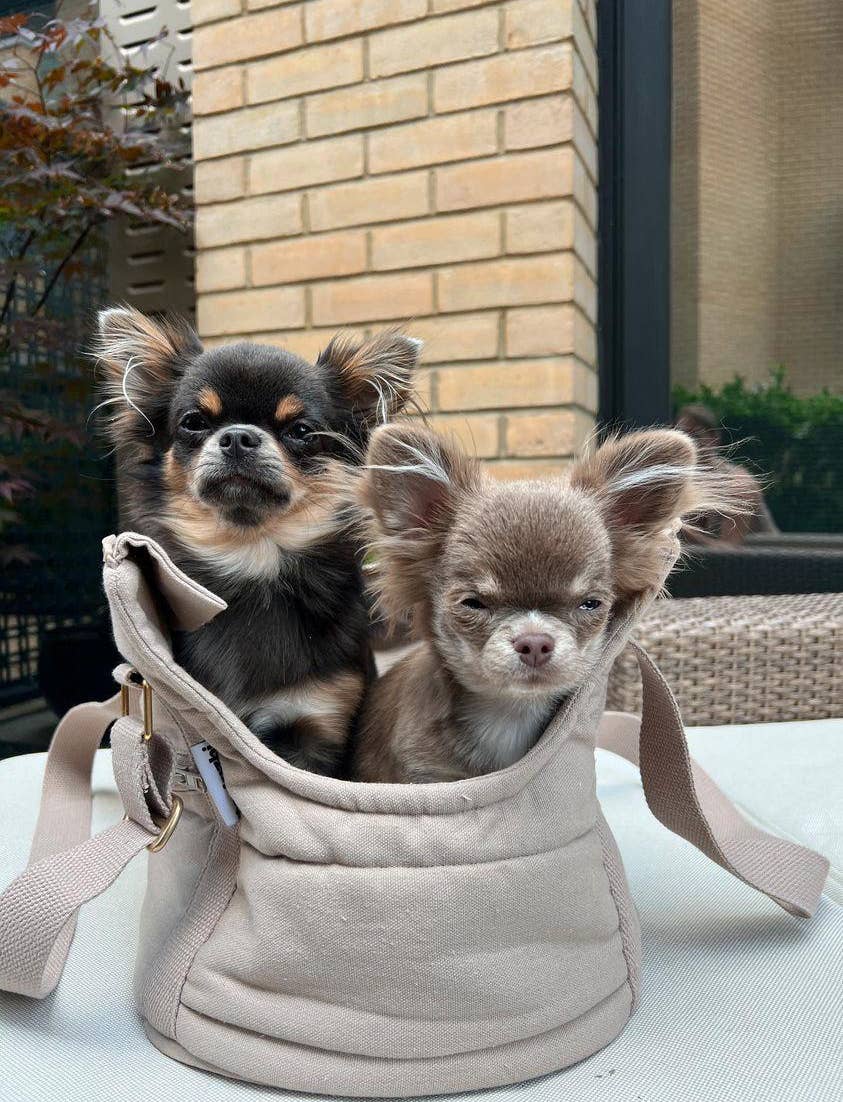 RIO dog bag Dark sand
