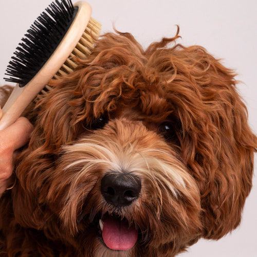 Bamboo dual-sided brush