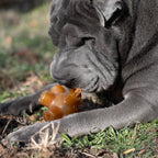 Duck Dental Treat Rub Stick for Puppies 100g