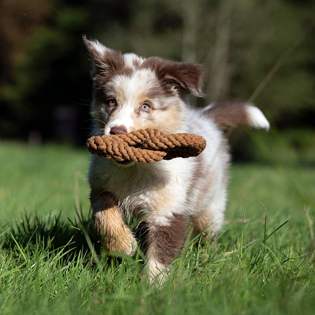 Britta Pretzel rope toy