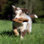 Britta Pretzel rope toy