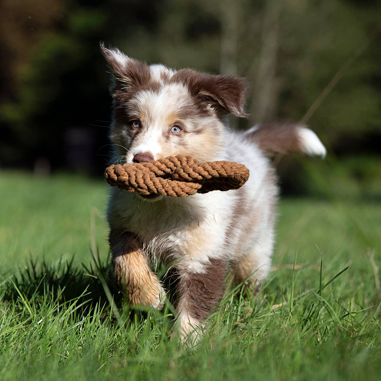 Britta Pretzel rope toy