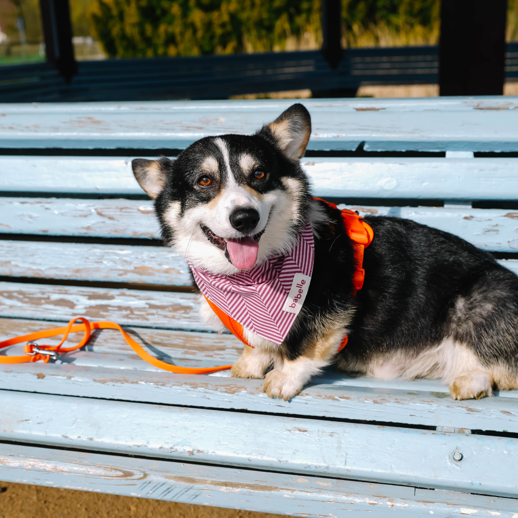Raspberry Herringbone Bandana