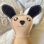 Dog toy with bottle inside - DOG 🐕