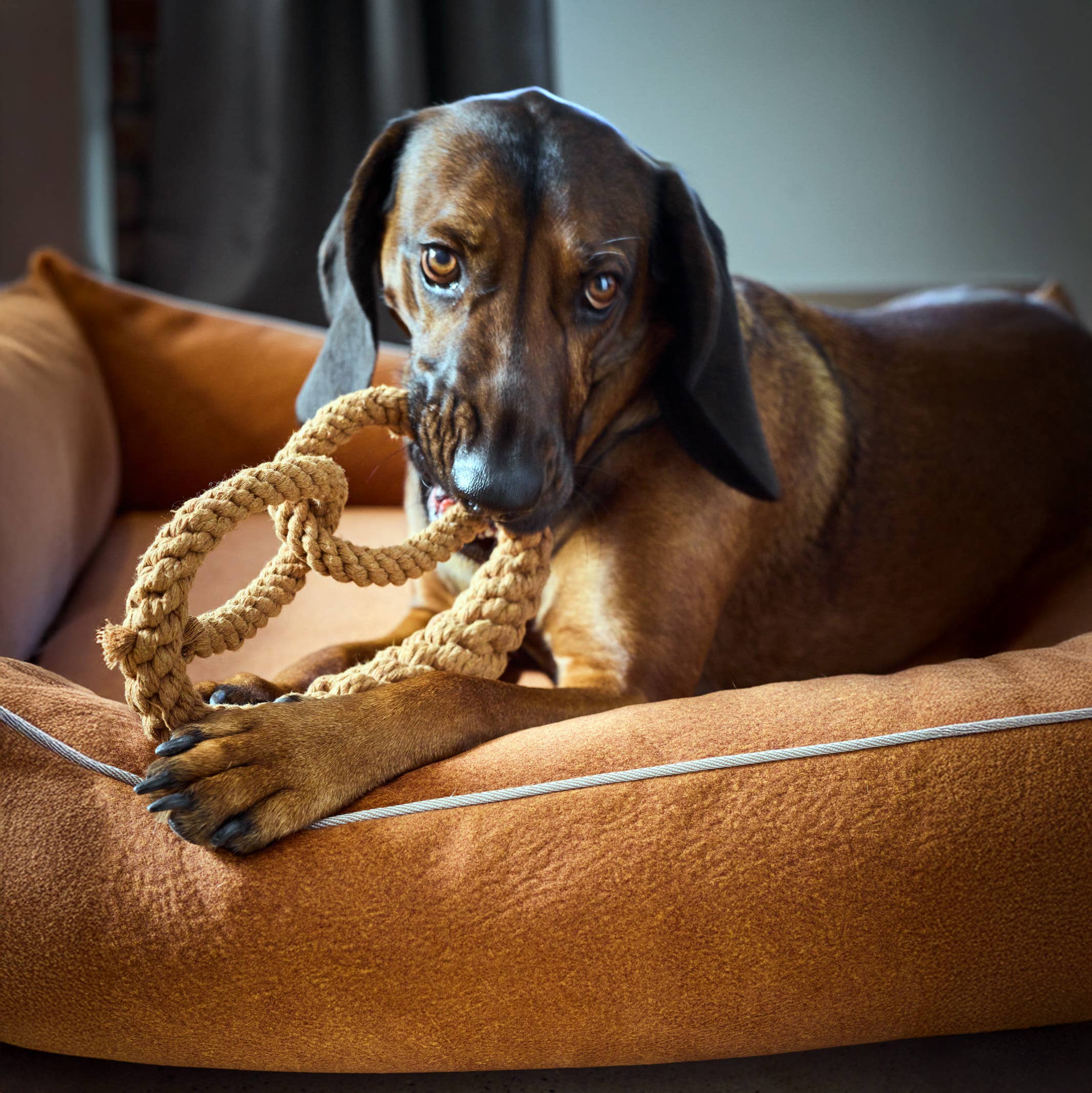 Britta Pretzel rope toy