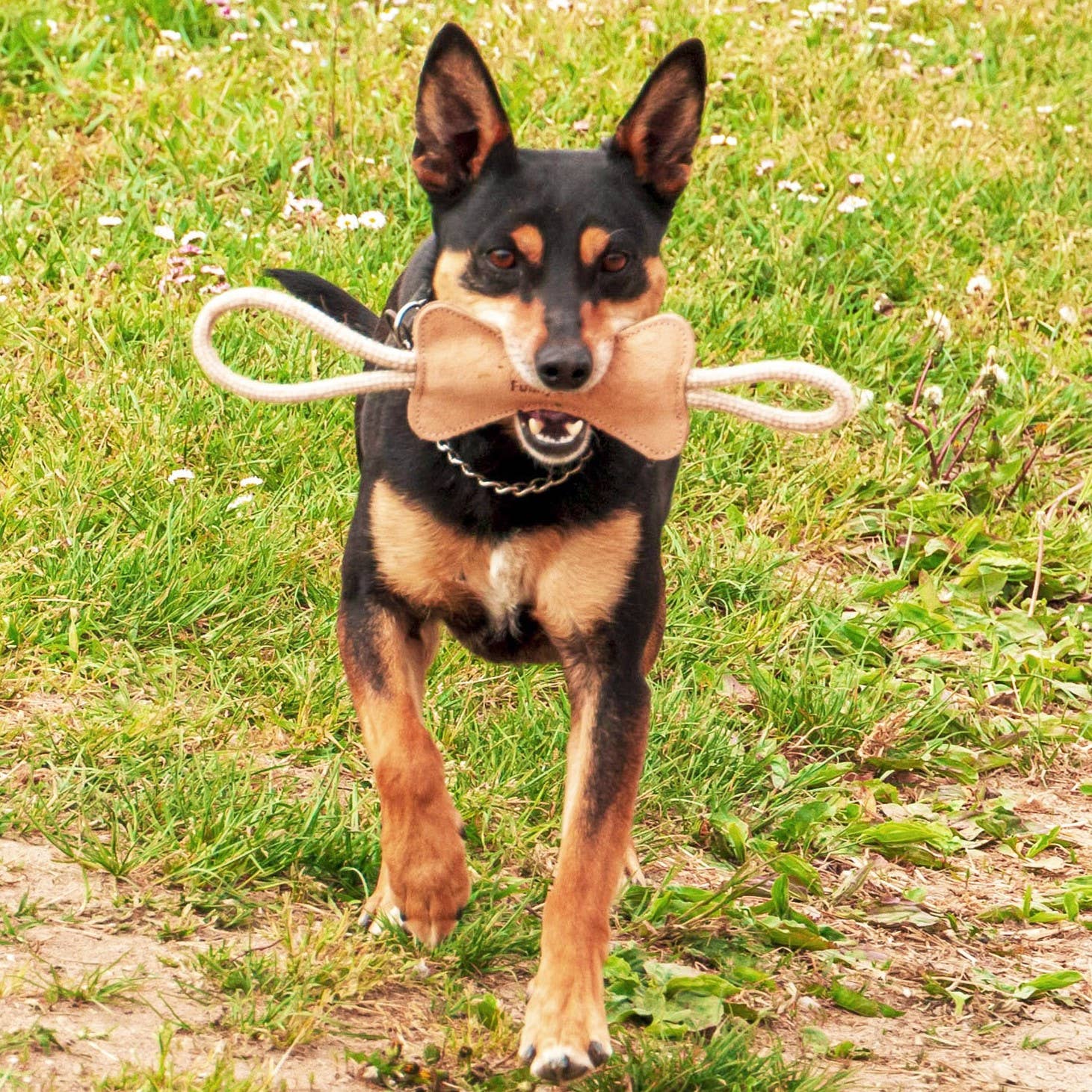 Natural toy for dogs Ossicino in suede