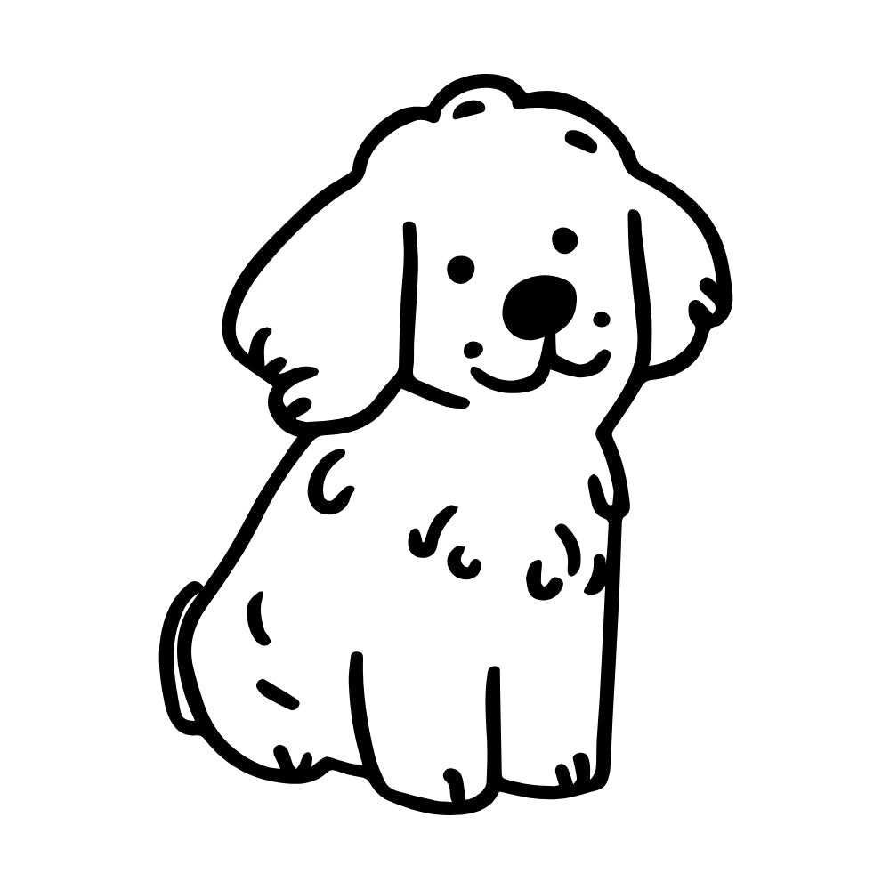 Grooming salon - Full Service packages