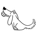 Grooming salon - Wash & Dry packages