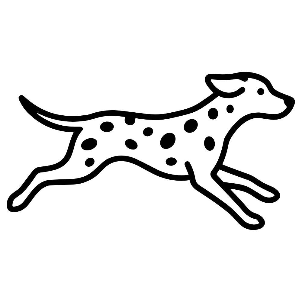 Grooming salon - Double & wire coat stripping