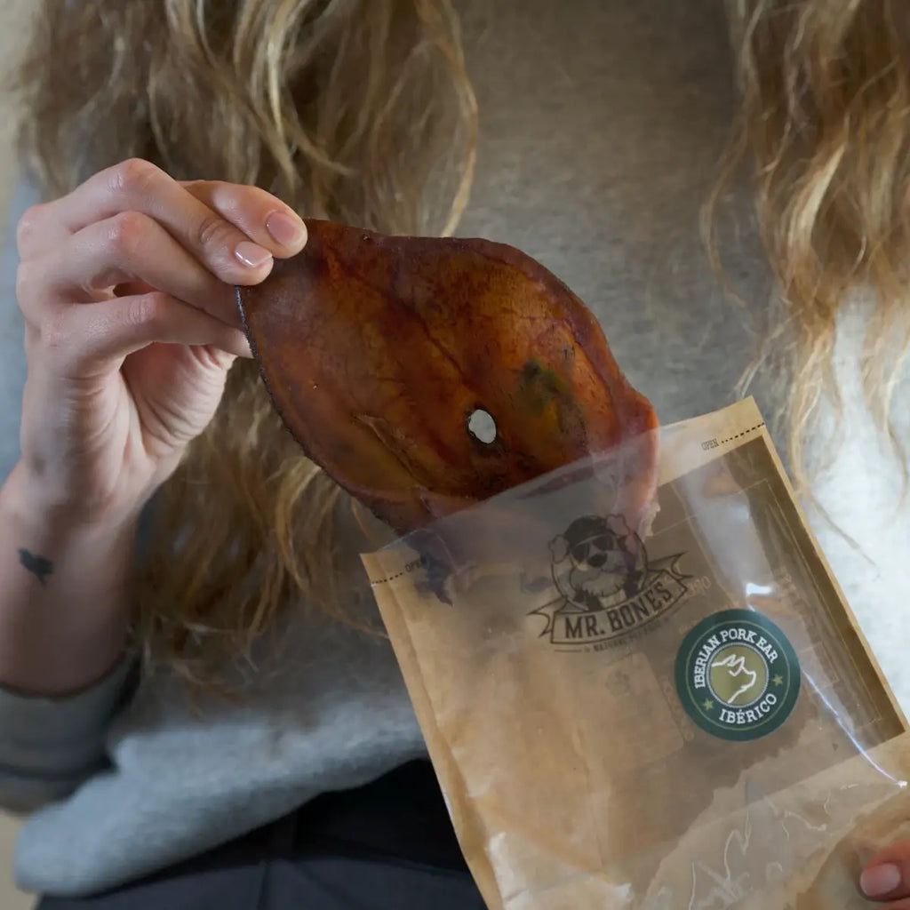 Natural snack for dogs - Iberian Pork Ear