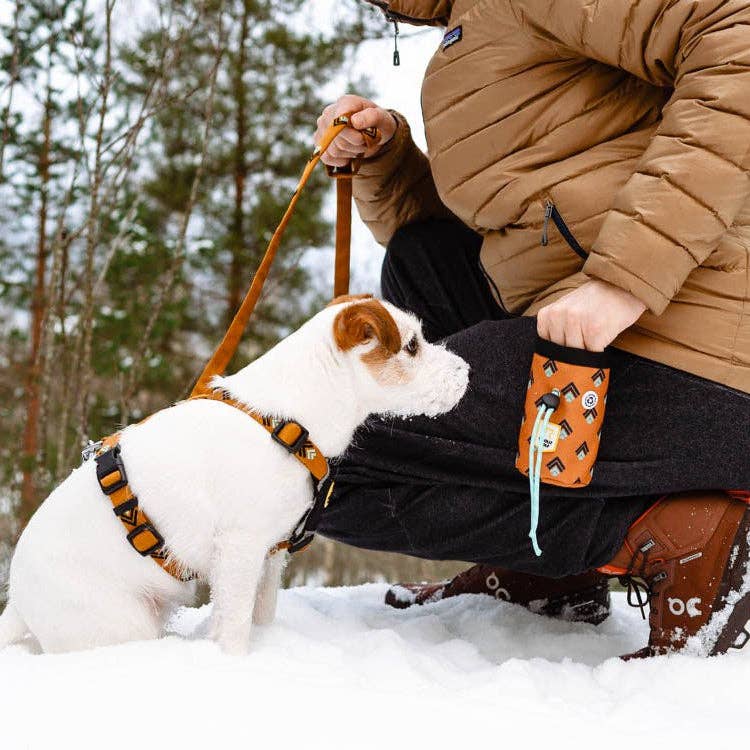 Sea To Summit Dog Leash