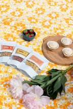 Salmon & Turmeric Everyday Treats
