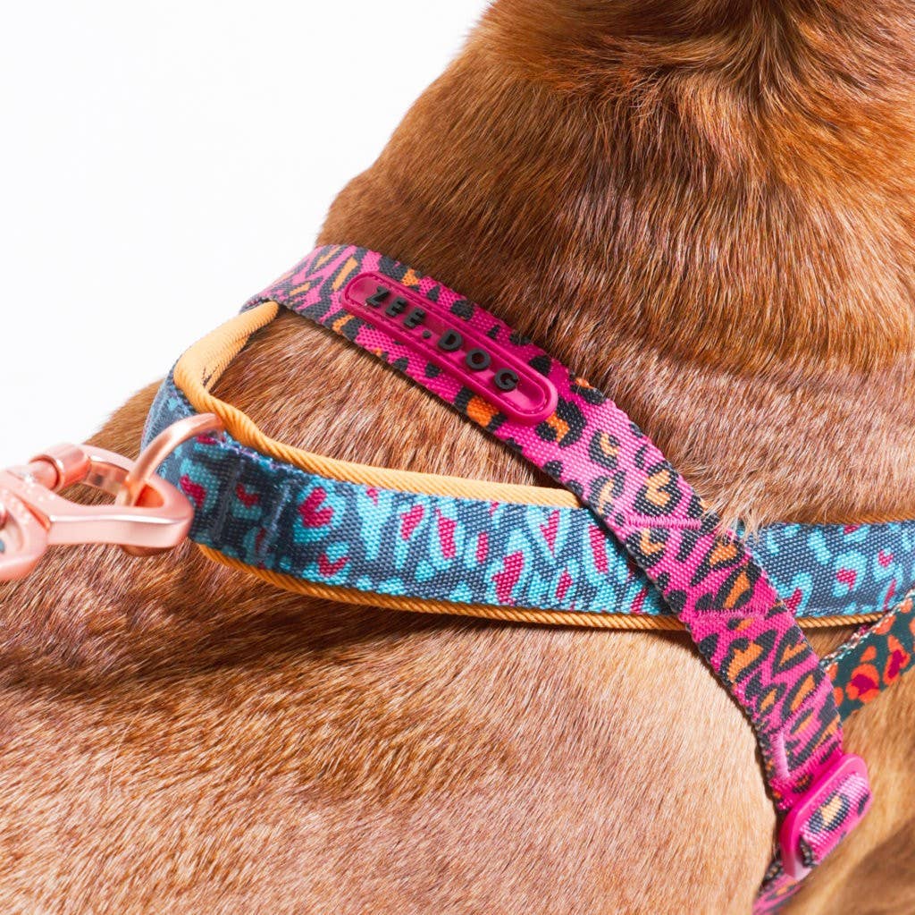 Norwegian Harness Softer-Walk Farm Rio Selva