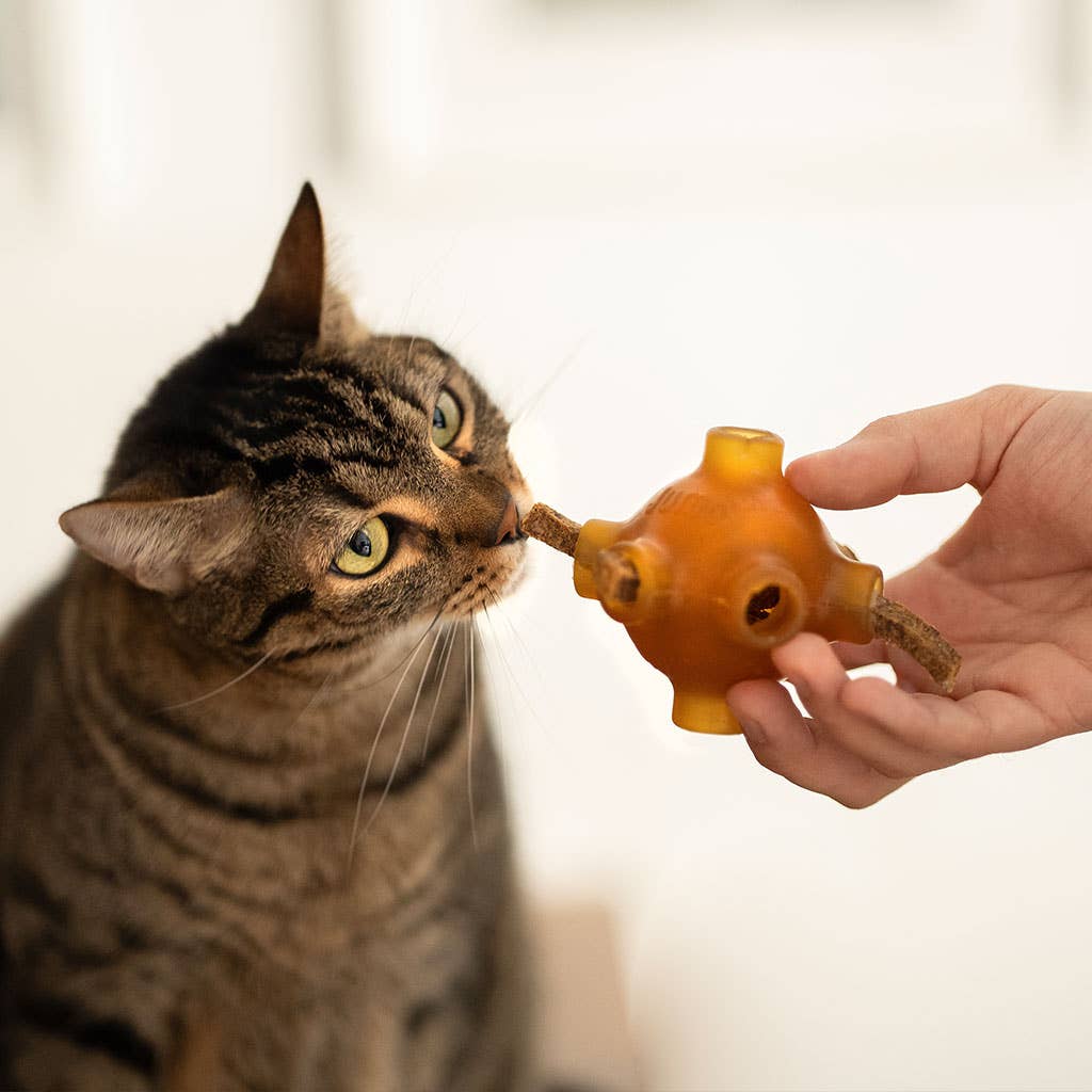 Treat Rub Stick Dental Chicken for Cats 100g