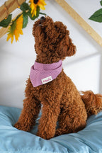 Raspberry Herringbone Bandana