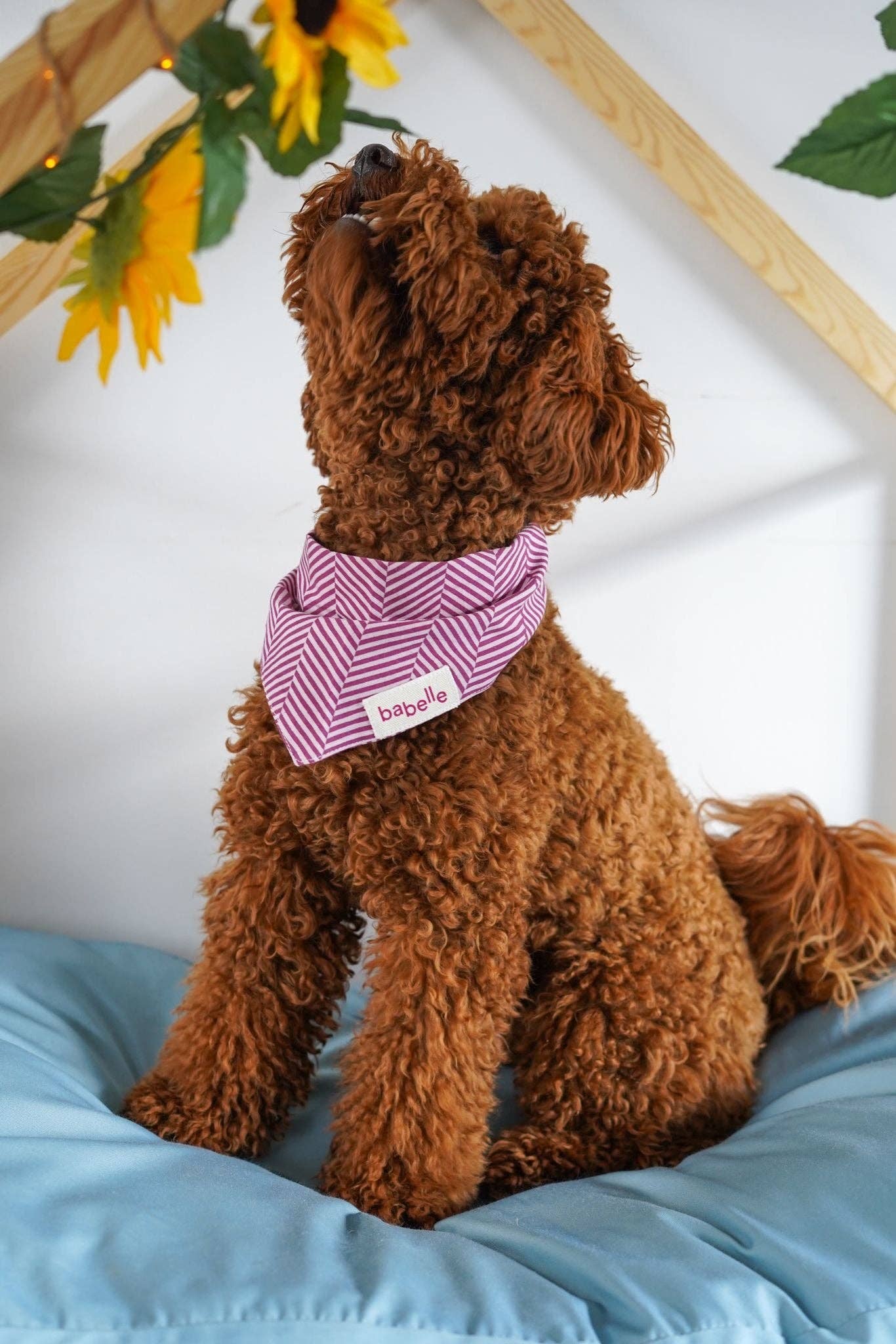 Raspberry Herringbone Bandana