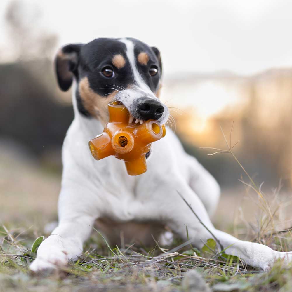 Natural Rubber Free Jump Dog Toy