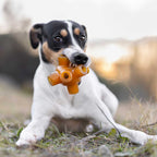 Natural Rubber Free Jump Dog Toy
