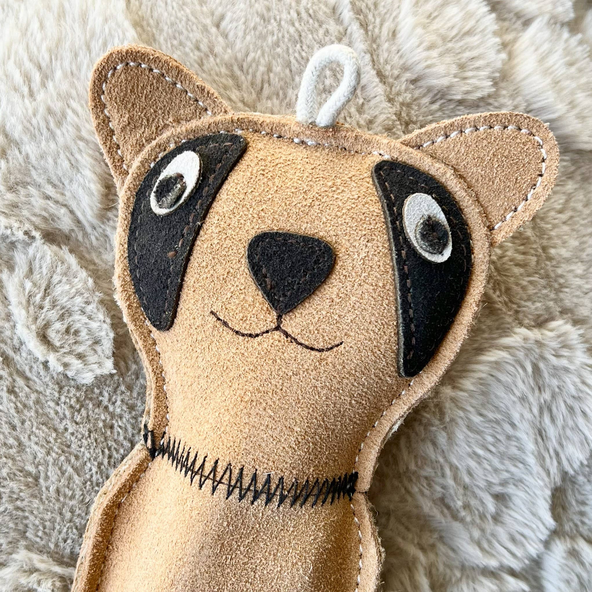 Dog toy with bottle inside - CAT 🐈