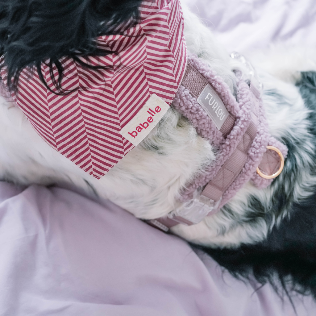 Raspberry Herringbone Bandana