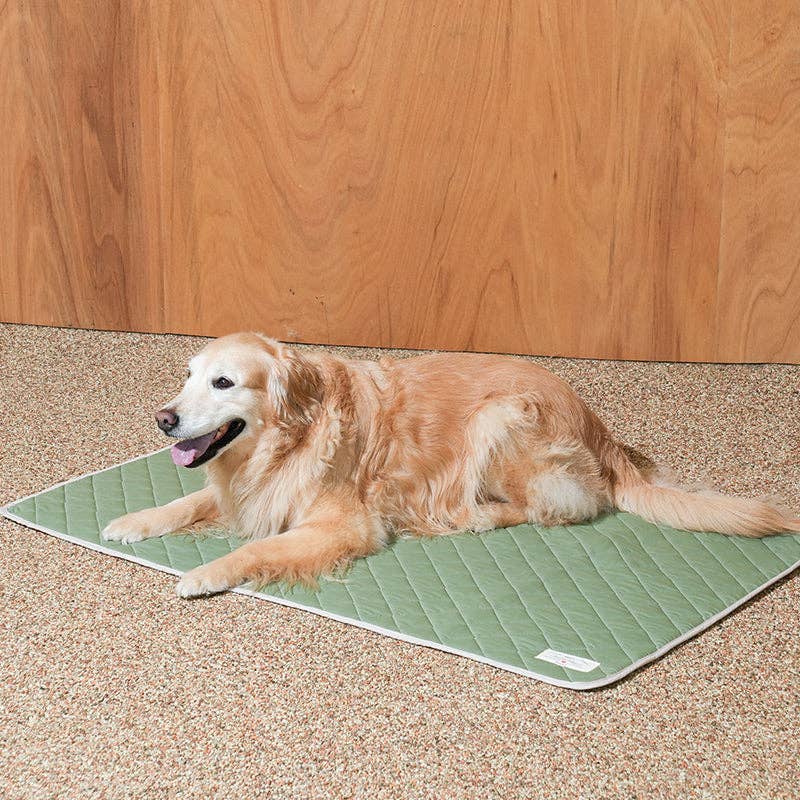 Airy Pet Cooling Mat