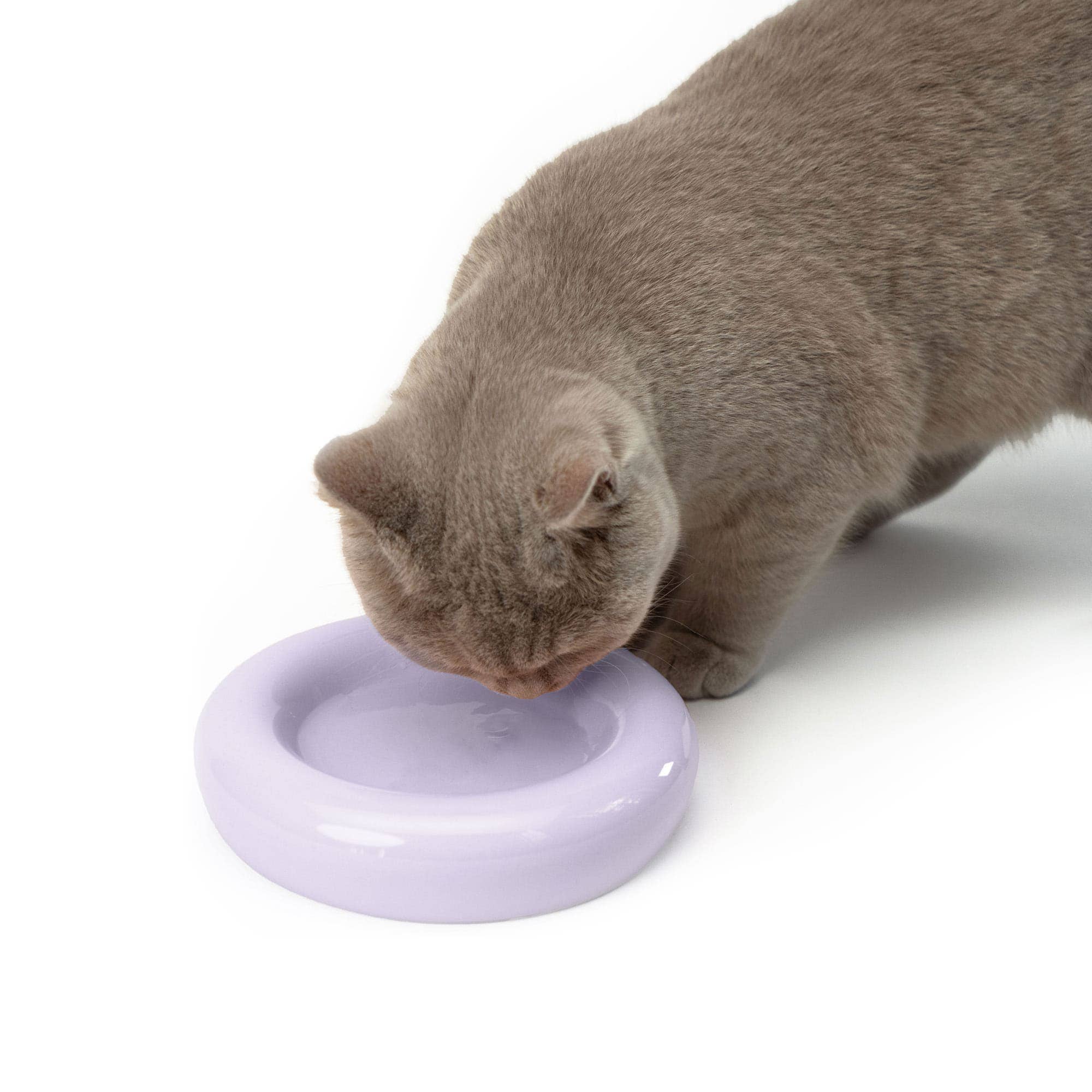 DROP cat bowl