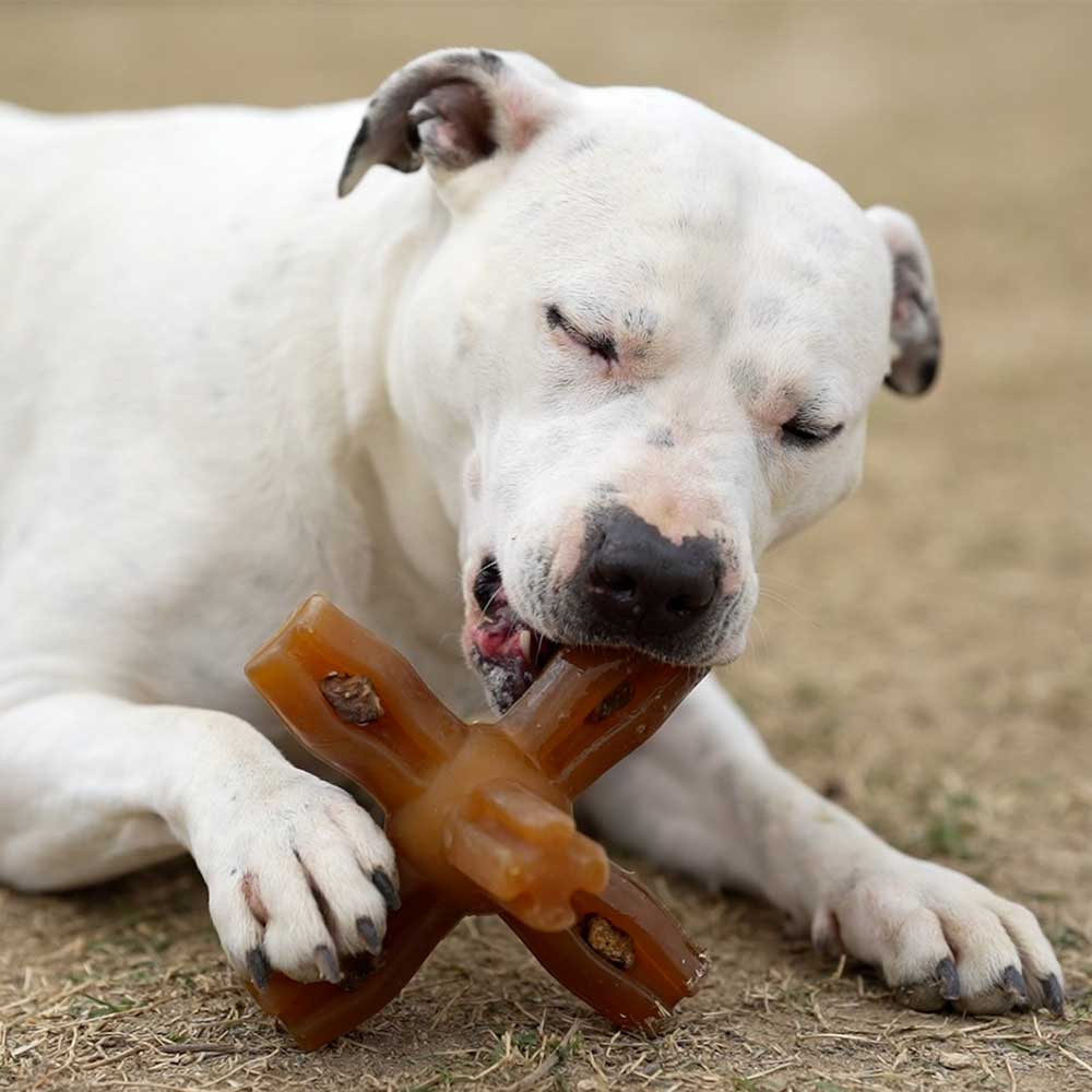 Natural Rubber Star Dog Toy
