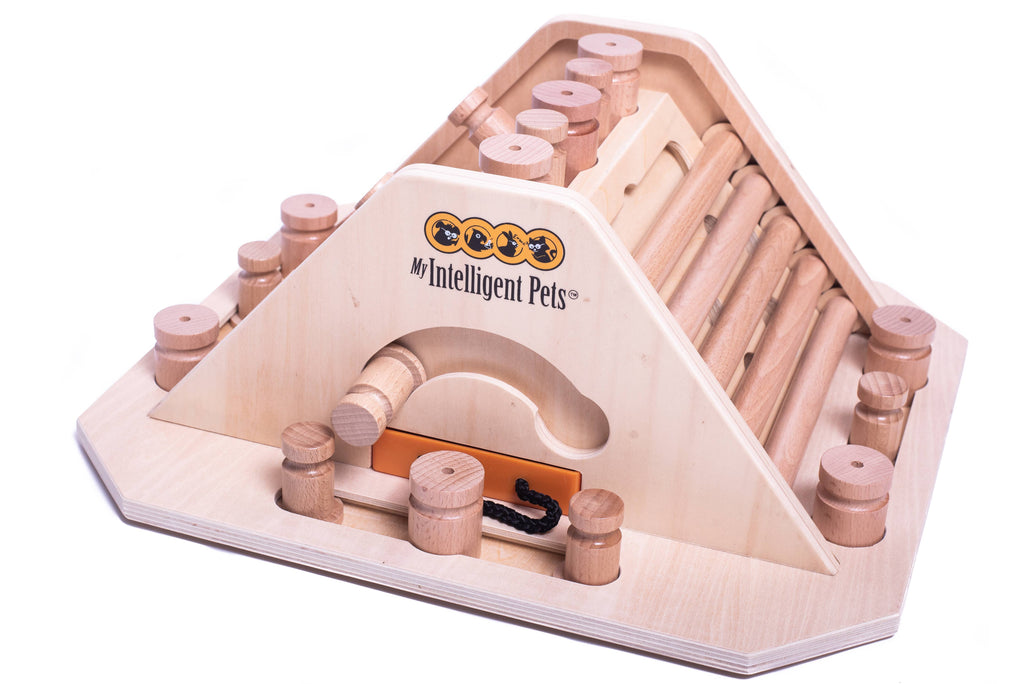 Pyramid - challenging and stimulating dog game