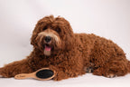 Bamboo dual-sided brush