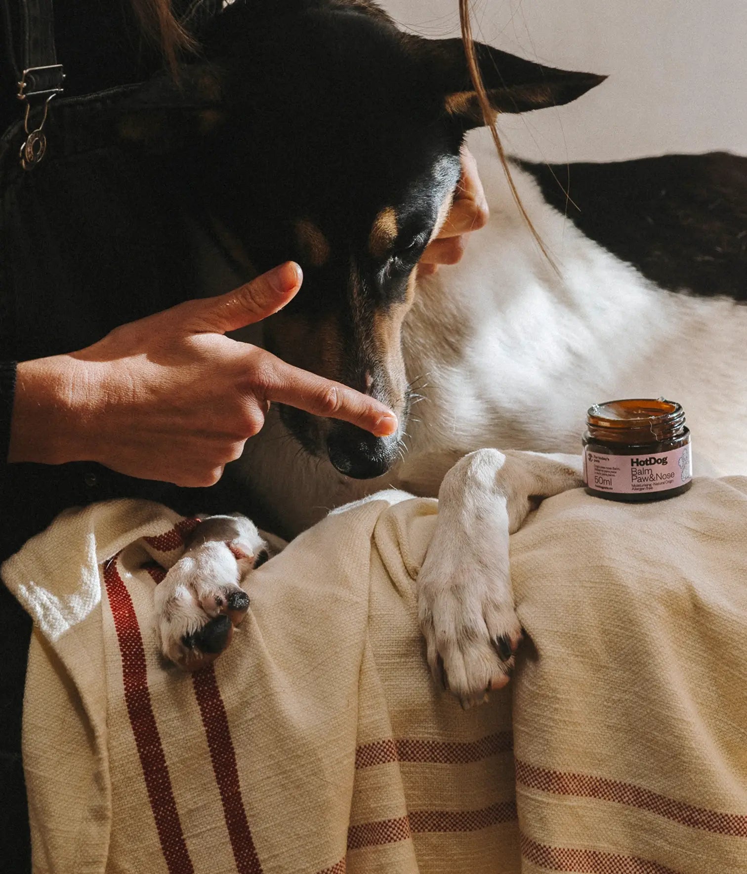 Dog paw & nose balm
