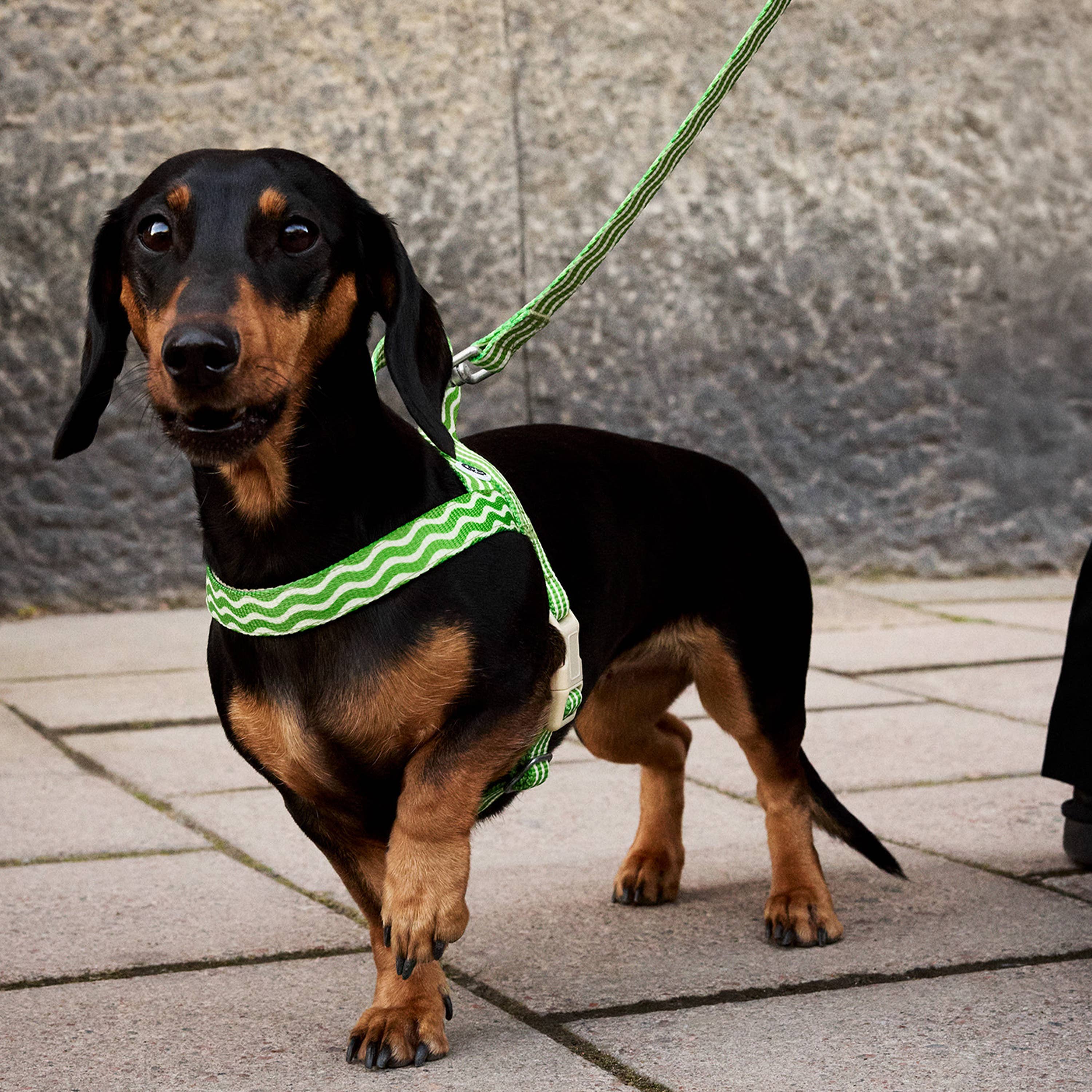 Dog Harness Apple Green Recycled Material Barkalot