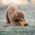 Natural Rubber Free Jump Dog Toy