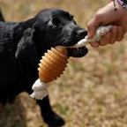 Natural Rubber Rugby Spike & Rope Dog Toy - M