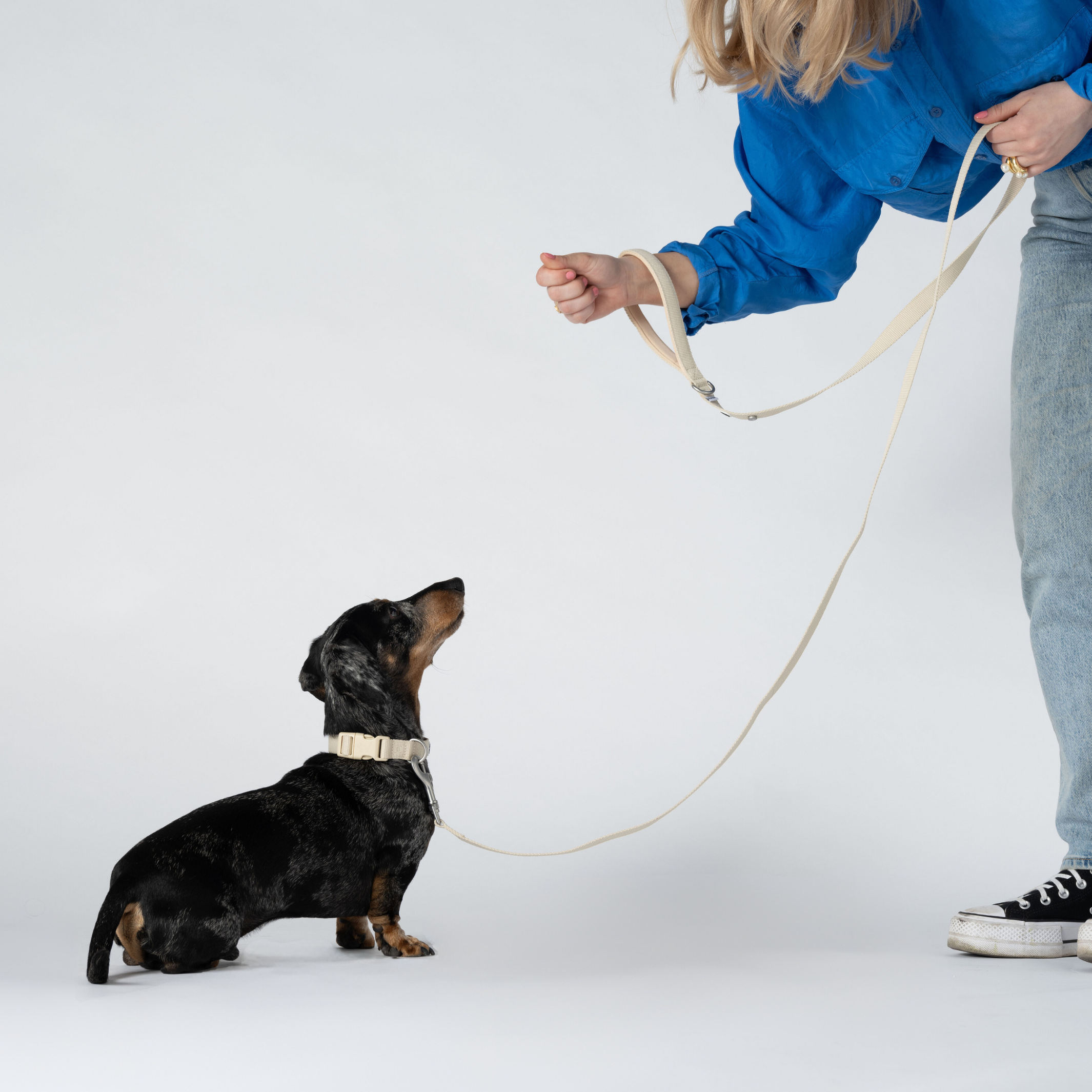 Dog Leash Sand Recycled Material