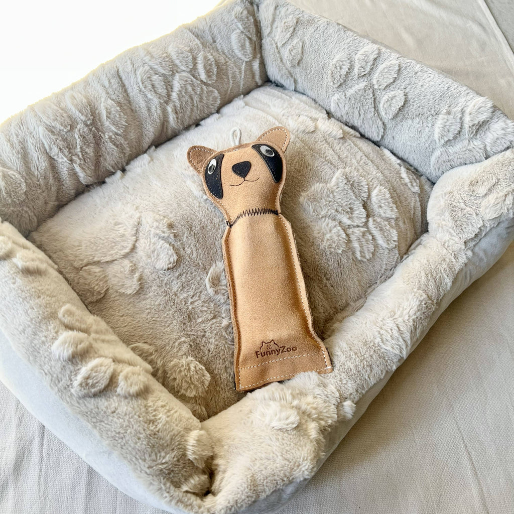 Dog toy with bottle inside - CAT 🐈