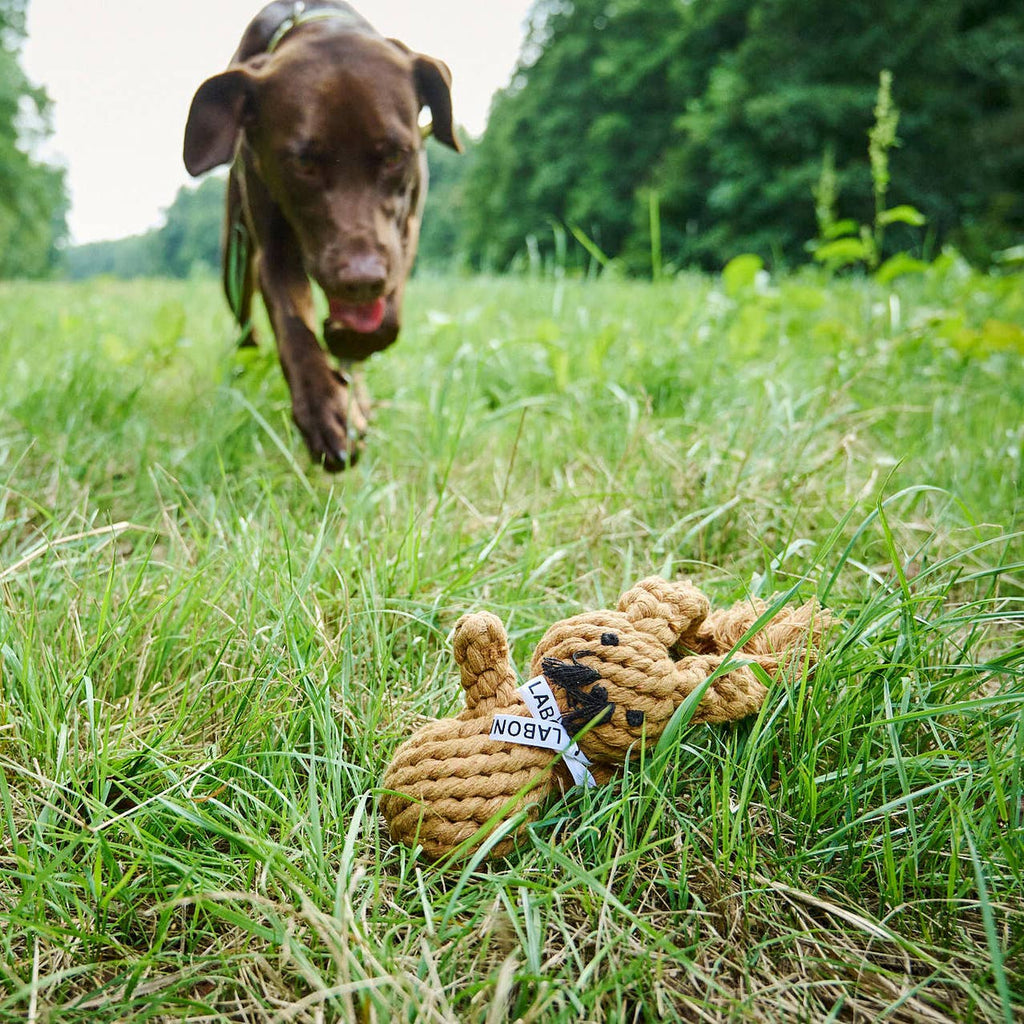 Heinrich Rabbit rope toy