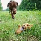 Heinrich Rabbit rope toy