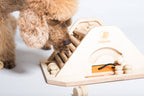 Pyramid - challenging and stimulating dog game