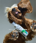 Dog Mist - Mid/night 00.00 x HotDog