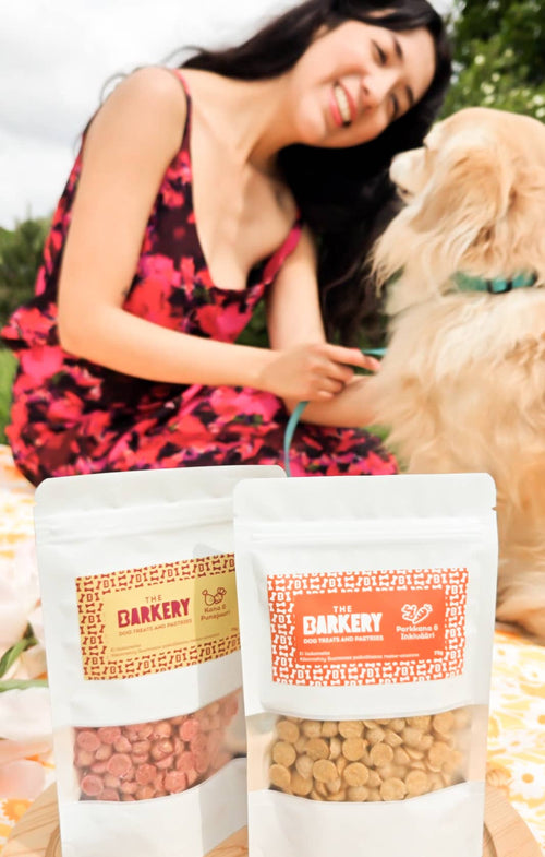 Carrot & Ginger Everyday Treats