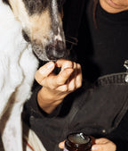 Dog paw & nose balm