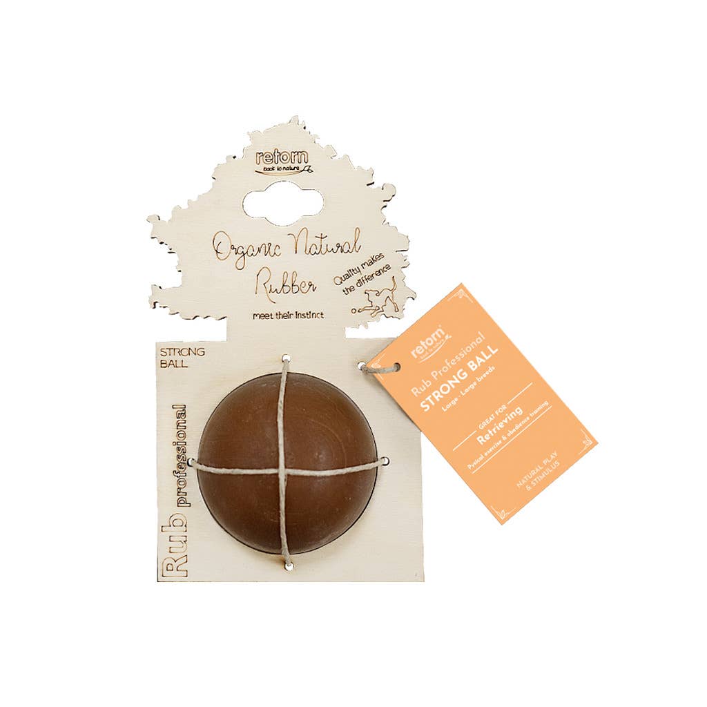 Rub Strong Ball Dog Toy - L