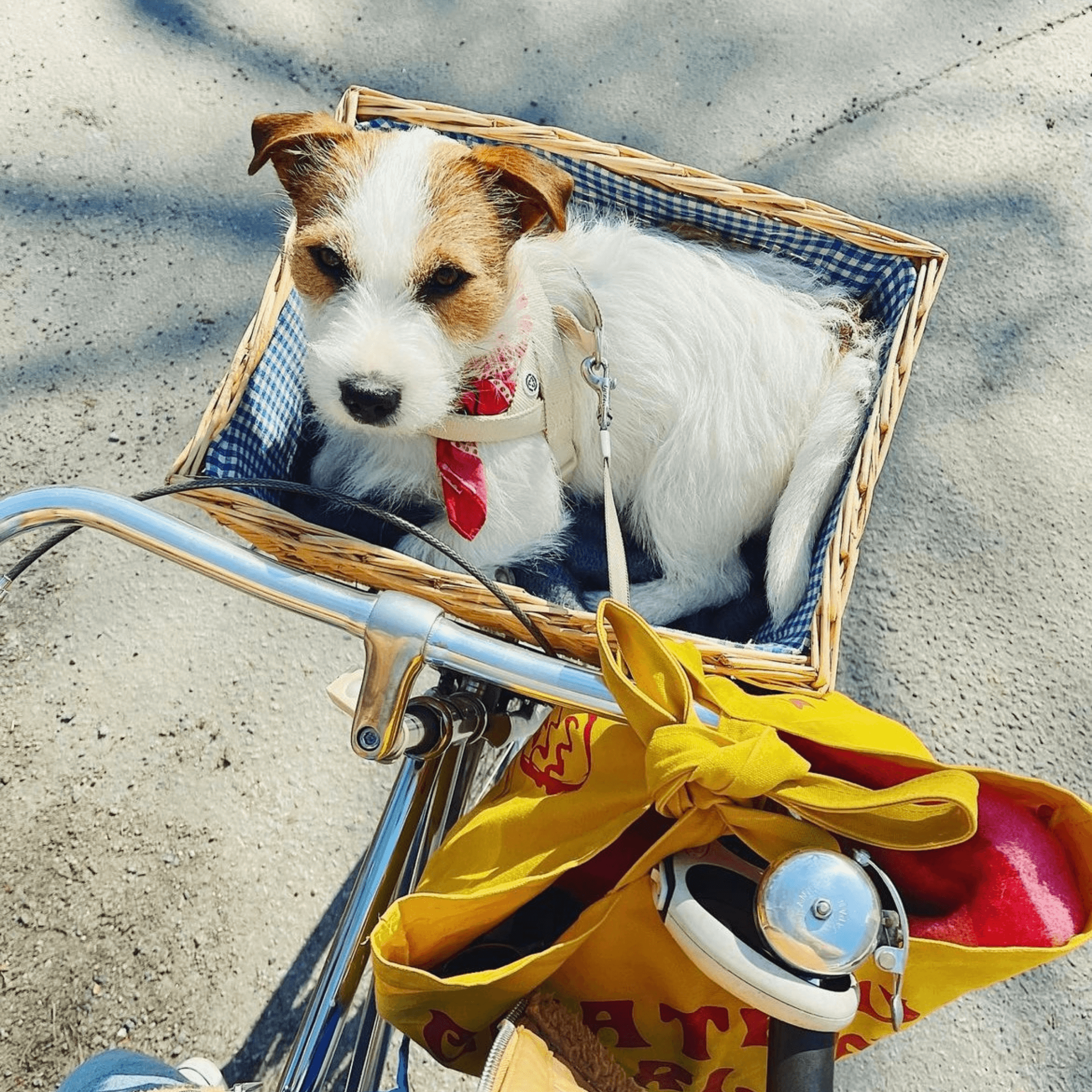 Dog Harness Sand Recycled Material Barkalot