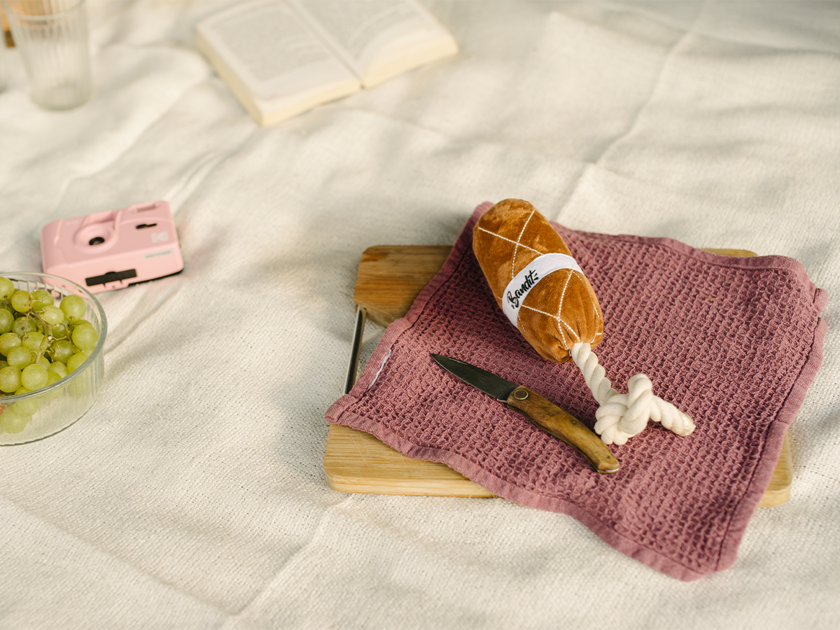 Saucisson dog toy